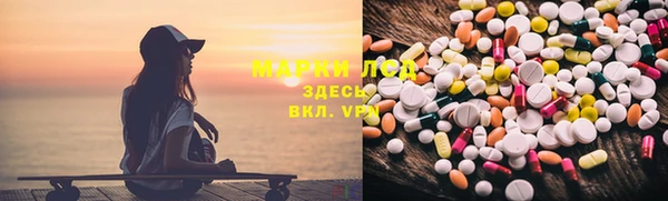 мдпв Ельня