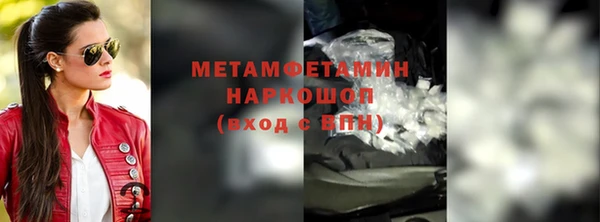 мдпв Ельня
