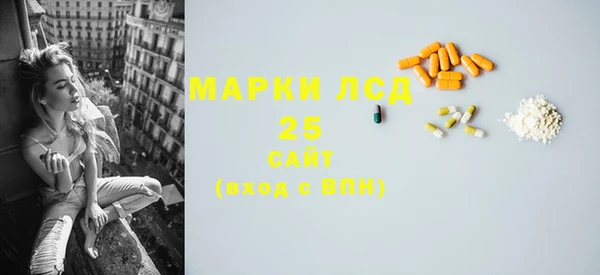 мдпв Ельня