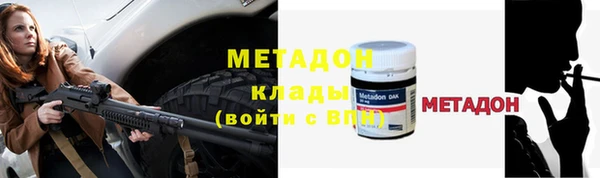 мдпв Ельня