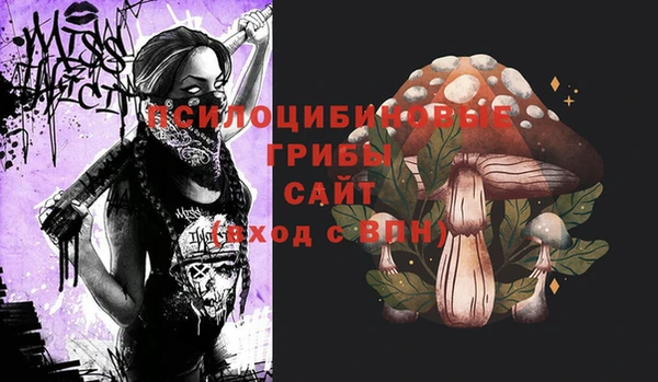 мдпв Ельня