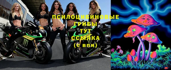 мдпв Ельня