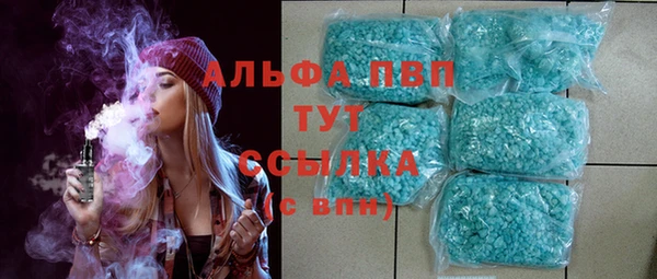 мдпв Ельня