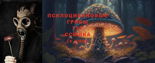 мдпв Ельня