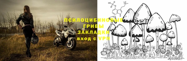 мдпв Ельня