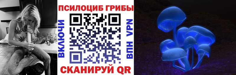 Купить где  Калач-на-Дону  Галлюциногенные грибы Cubensis 